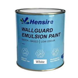 Hensire Exterior Wall Paint - 17oz White Water-Based Paint for Concrete, Cement, Brick, Mansory & Stone, Low Odor Waterproof Paint for Wall Outdoor