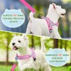 Eyein Dog Harness with Lead for Medium Small Dogs, Soft