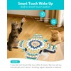 Temracha Interactive Cat Toy, Rechargeable Cat Toys for Indoor Cats,