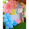 Balloons Pink and Blue Pack of 50 12 Inch Balloons