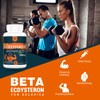 Beta-Ecdysterone Supplement 1200 mg per Serving - 1 Month Supply