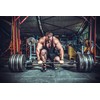 Creatine Monohydrate Powder – 500 g Tin Best Creatine (Mesh
