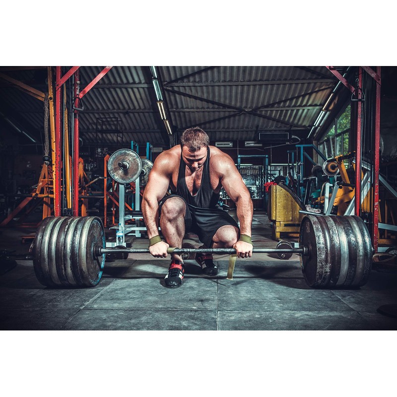 Creatine Monohydrate Powder – 500 g Tin Best Creatine (Mesh