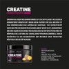 Endorfina.shop Creatine Monohydrate Training Supplement Stimulates Muscle Building, Protein Synthesis,