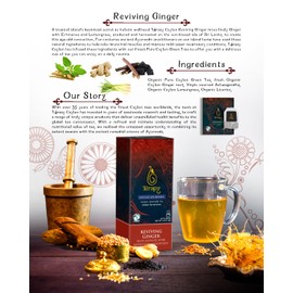TERAPY AYURVEDIC TEA by Terapy Ceylon | All Natural Herbal Ingredients | USDA Organic | Eco-friendly Unbleached Organic Tea Bags (Reviving Ginger)