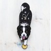 D-66 ボーダーコリー（口開き）-犬の振り子時計