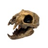 Aztec Death Whistle - Apex Predator