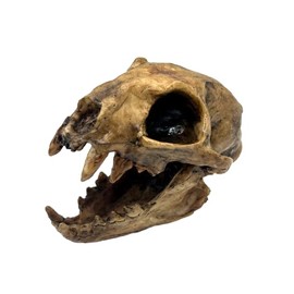 Aztec Death Whistle - Apex Predator