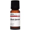 BIO - Black Spruce Essential Oil - 10mL - 100%