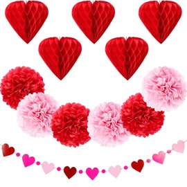 Blulu Valentine's Day Paper Kit Party Decorations, Multicolor Tissue Paper Flowers Bunting Hanging Fan for Party Decorations (12 Pieces Style 3)