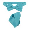 Vesuvio Napoli BowTie Solid Turquoise Blue Color Mens Bow Tie