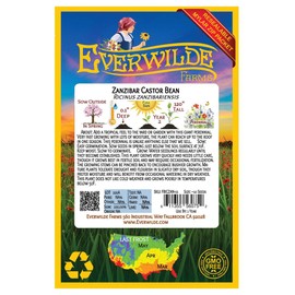 Everwilde Farms - 10 Zanzibar Castor Bean Wildflower Seeds - Gold Vault Jumbo Seed Packet