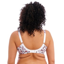 Elomi Lucie Underwired Plunge Bra (36DD, Rumble)