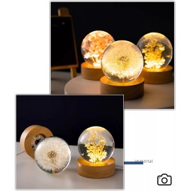 Marzius Yellow Daisy Preserved Flower Crystal Ball Night Light Lamp