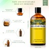 PHATOIL Helichrysum 3.38fl.oz Essential Oil, PHATOIL Pure Aromatherapy Oils for