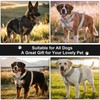 No Pull Dog Harness, Heavy Duty Tactical Dog Harness, Adjustable