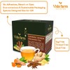 VIDA FARM 75 Turmeric Ginger Cinnamon Tea Bags, Turmeric Ginger