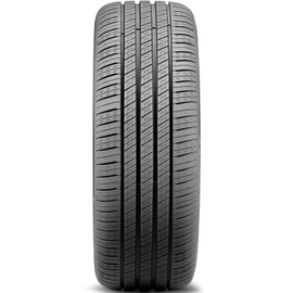Delinte DST 1 Passenger Car All-Season Performance Radial Tire-205/70R16 205/70/16 205/70-16 85H Load Range XL 4-Ply BSW Black Side Wall UTQG 560AA