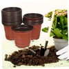 BESPORTBLE 50pcs Plastic Flowerpot Succulents Flower Pot Decorative Flower Pot