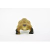 Unbranded Galápagos Tortoise Plastic Realistic Toy Figurine Replica Gift 2"