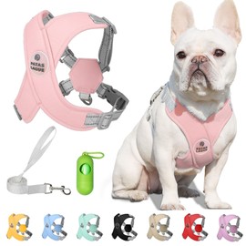 Patas Lague Dog Harness with Leash Set Adjustable Soft Padded Step-in Dog Vest No Choke No Pull Reflective for Small Pets with Poop Bags and Dispenser, Solid and No-chew, Pink XS