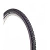 SCHWALBE Black Jack Active Line Tire, 24x1.9-Inch
