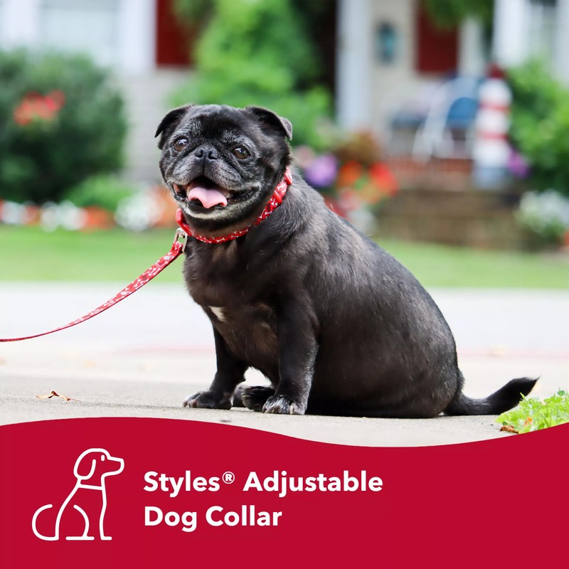 Coastal Pet Styles Adjustable Dog Collar - Stylish Patterned Fabrics