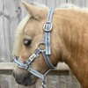 Ruggles Head Collar for Shetland Pony and Miniature Horses |