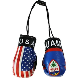 Flagline USA and Guam - Mini Boxing Gloves