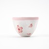 Arita Ware Tea Cup Sencha Cherry Blossom Pink Hand-painted Tanseikan