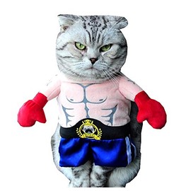 Lovelegis Fighter Costume - Wrestling - Dinner - Austin - Bestatter - Dwayn Johnson - Cat - M - Gift Idea for Christmas and Birthday
