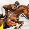 Laroal 5 Pieces Horse Training Flags with 63 Inch Telescopic