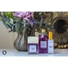 ETEREA Lavender Refill 500 ml