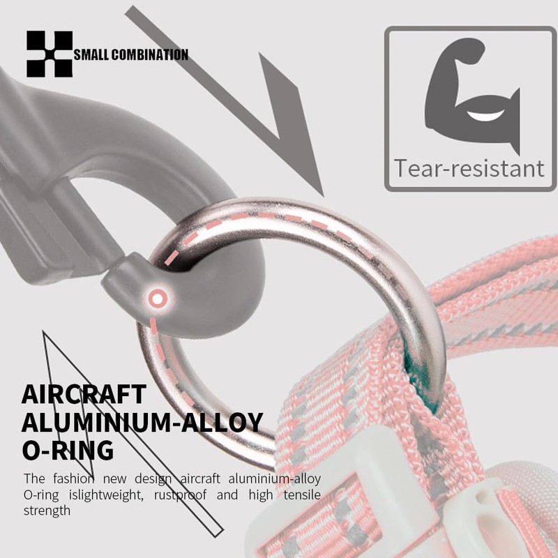 Small Combination Adjustable Pet Dog Collar, Turquoise and Black (Watermelon