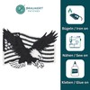 Eagle USA Flag Black White Patch for Iron-On or Sew