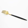 Kuchipol GOA Matte Gold Dinner Fork