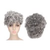 Curly Gray Short Afro Wig Synthetic Hairstyles Grey Black Short