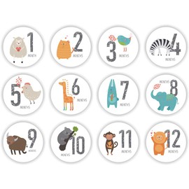 WOWOWO 12 Pcs　Baby Pregnant Monthly Stickers Memory Recording Milestone Sticker Props