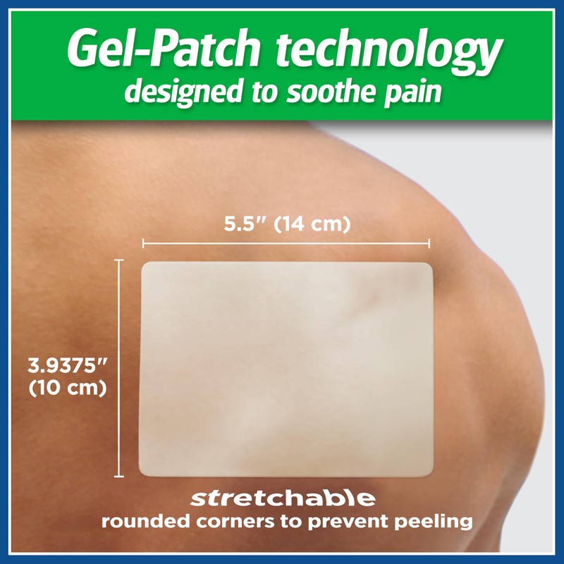 Salonpas HOT Gel Patch, 6 Count