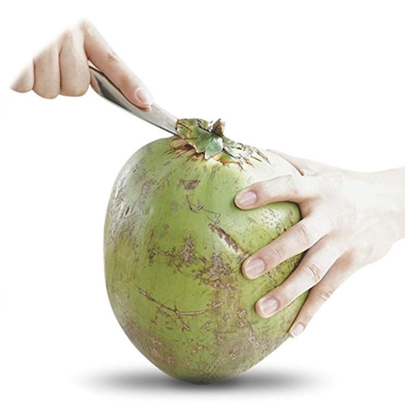 TOPINCN Abridor de de Acero Inoxidable para Agua de Verde