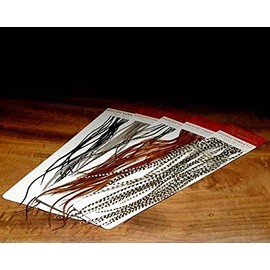 Whiting 100's - White/Coachman Brown #20