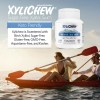 Xylichew 100% Xylitol Chewing Gum - Non GMO, 12 Count