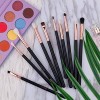 Docolor Brochas Para Sombra De Ojos Juego De Brochas De