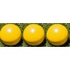 Epco BuyBocceBalls Listing Bocce Yellow Pallinos - 3 Pack (2