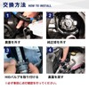 fcl. D2S HID Bulb, Genuine Color, 4300K, Compatible with Vehicle