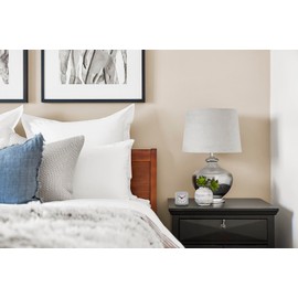 TFA Dostmann Wecker analog ohne Ticken, 60.1019, geräuscharmes Uhrwerk, Nachttischwecker, Reisewecker, Alarmfunktion, Miniuhr, leuchtende Zeiger, Tischuhr, Silber-schwarz