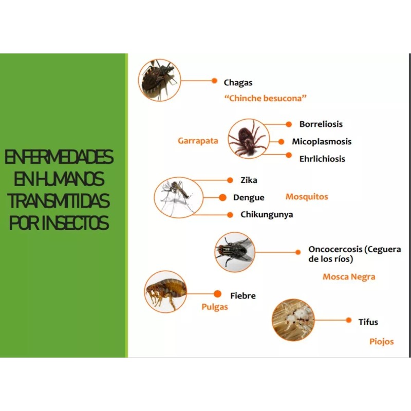 CLEANJAHVS Repelente Para Insectos De Amplio Espectro 100% Natural