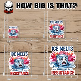 ICE Melts Under Resistance Sticker or Magnet Christmas Ornament Waterproof Vinyl Sticker for Water Bottle Bumper Car Laptop