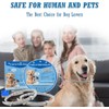 Flea Collar for Dogs, 2 Pack Collar for Dogs, 12