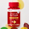 Red Propolis Flavonoid Brazilian Propolis Immunity / 레드프로폴리스 플라보노이드 브라질프로폴리스